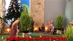 Presépio da Matriz - Árvore de Natal em Homenagem aos falecidos e salvos de doenças no último ano